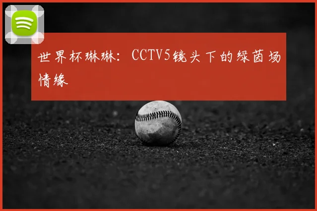 世界杯琳琳：CCTV5镜头下的绿茵场情缘