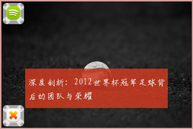 深度剖析：2012世界杯冠军足球背后的团队与荣耀