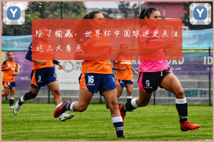 除了输赢，世界杯中国球迷更关注这三大看点