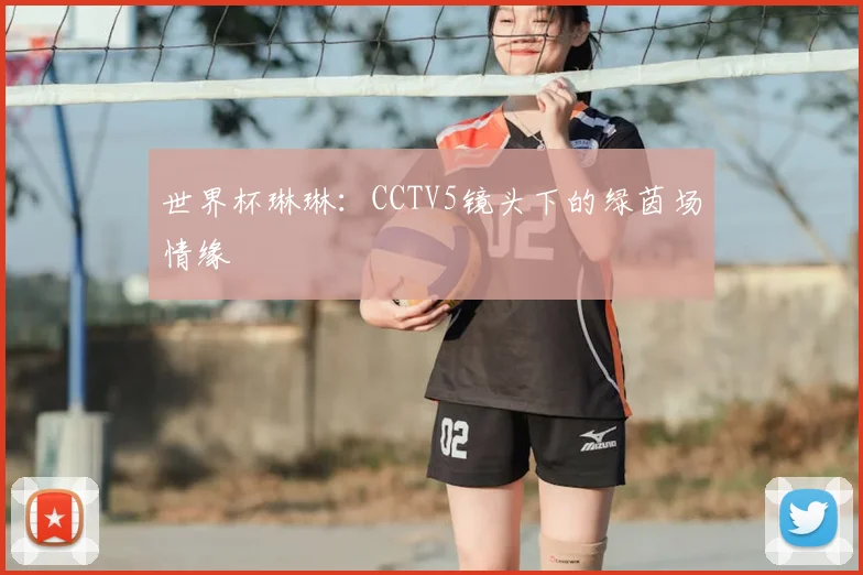 世界杯琳琳：CCTV5镜头下的绿茵场情缘