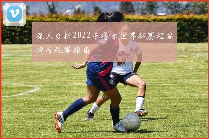 深入分析2022卡塔尔世界杯赛程安排与观赛指南