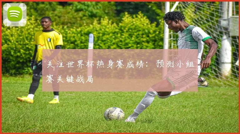关注世界杯热身赛成绩：预测小组赛关键战局