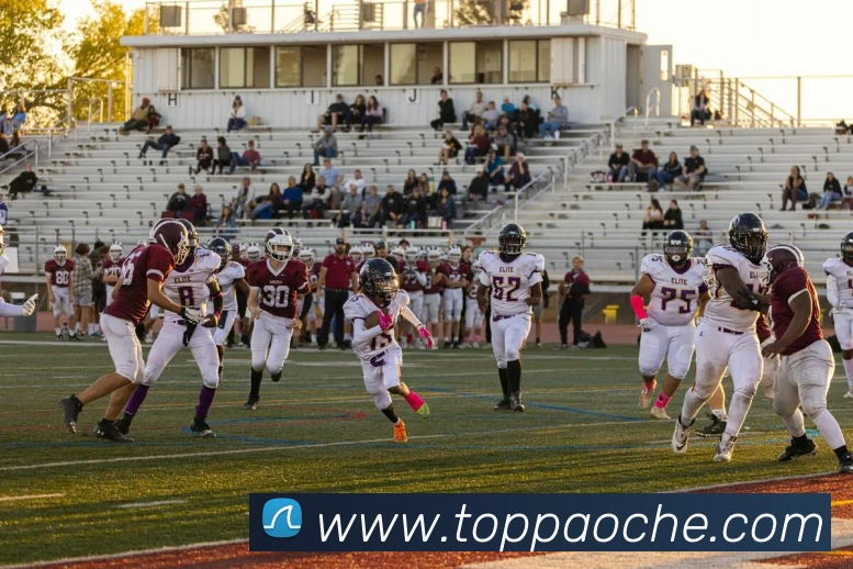 App Interface Preview