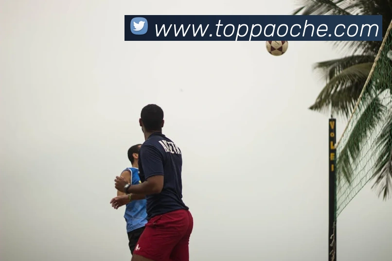 c7网站APP 封面图